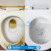 OxyPurOxyPure Toilet Cleaning Agent 100 gm (Pack of 2)